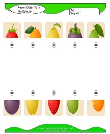 Resmi Diğer Yarısı ile Eşleştir Çalışma Sayfaları